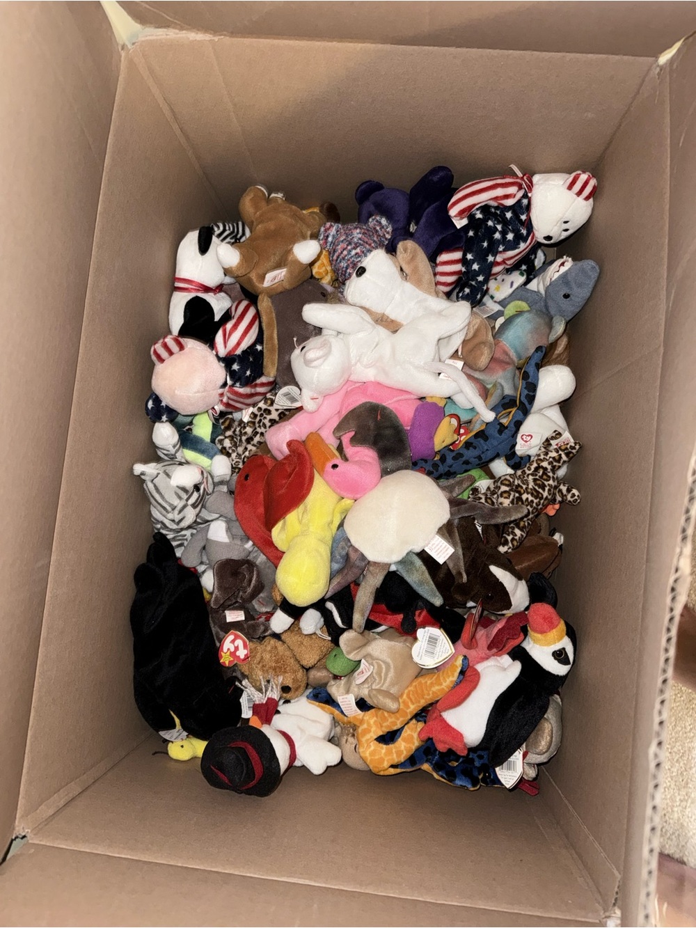 beanie bears - Mixed Colors
